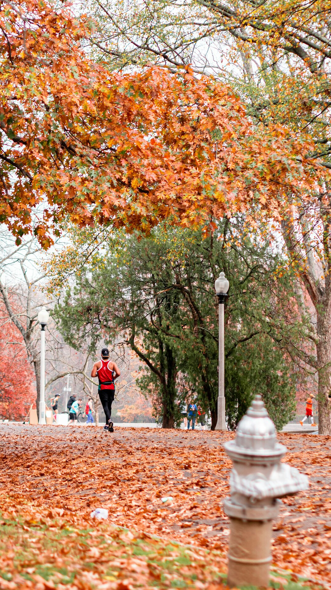 person jogging in park